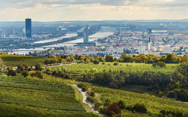 Panorámica del viñedo con Viena al fondo