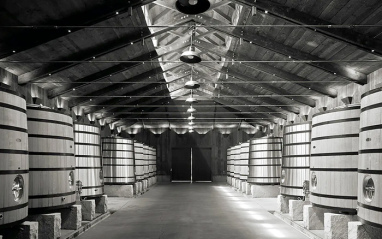 Sala de fermentaciones de la bodega