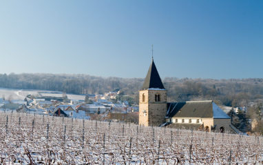 Vista panorámica del viñedo y Chigny-les-Roses