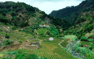 Panorámica del entorno de la bodega