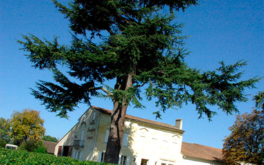 Exterior de la propiedad