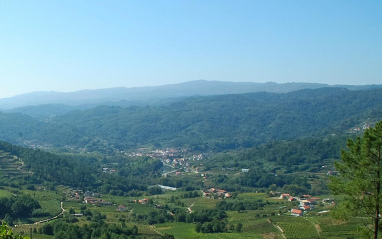 Localización de las viñas para Renacido