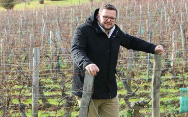 Camille Paquet en el viñedo