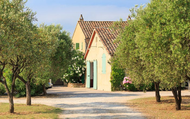 Entorno de la bodega