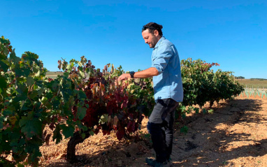 Nacho Gutiérrez en el viñedo