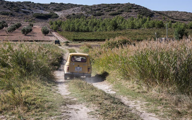 Camino a la finca El Horcajo