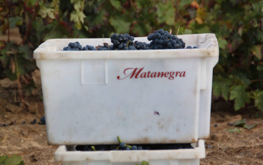 Caja de vendimia