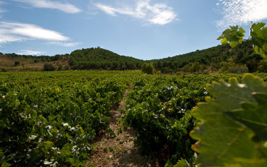 Paisaje castellano leonés