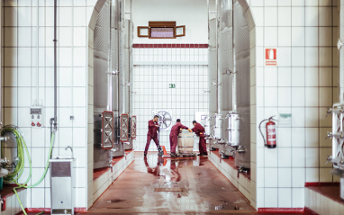 Interior de la bodega de Monteabellón