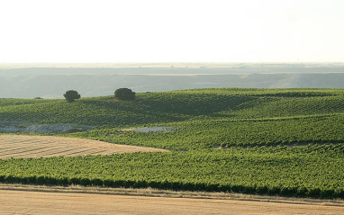 Panorámica del entorno