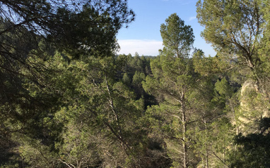 El pago Los Balagueses se encuentra dentro del parque natural Hoces del Cabriel