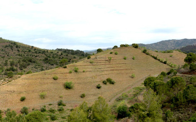 Finca Planetes en costers