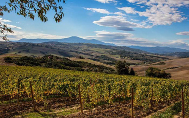 Paisaje de Torrenieri