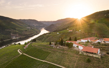 Vista panorámica de la bodega