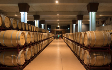 Nave de barricas