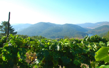 Las barreras orográficas del Ribeiro