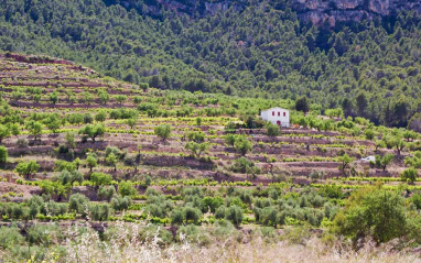 Panorámica de paisaje