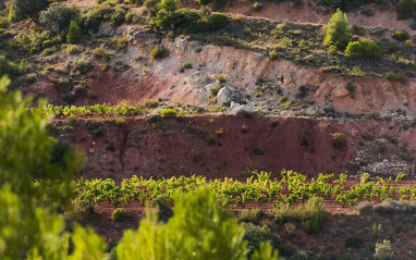 Terroir típico Priorat