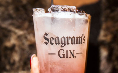 Seagram's Gin