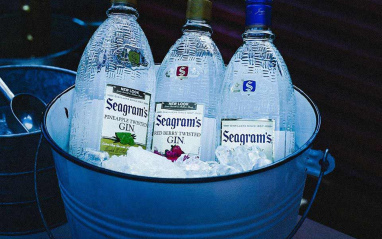 Seagram's Gin