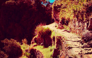El mítico Camino del Inca, ubicado en los Andes