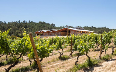 Viñedos en tierras ancestrales