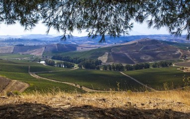 Vista de los alrededores de la bodega