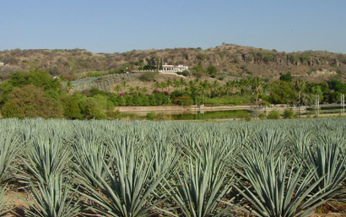 Tequila Fortaleza