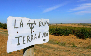 Finca la Rana