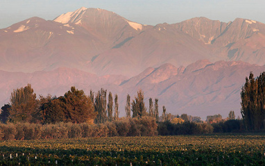 Entorno del viñedo