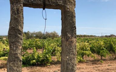 Bodega Tomás Cusiné