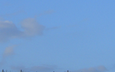 Cielo azul sobre el viñedo.