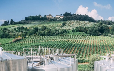 Bodega Valvirginio