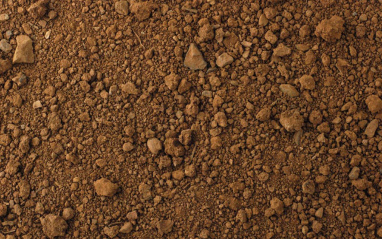 Detalle de los suelos arcillosos de la finca Malaveïna 