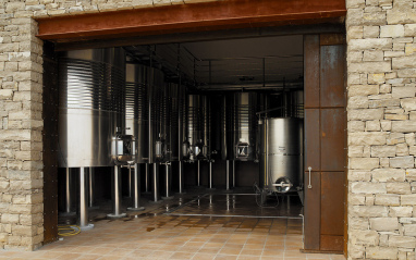 Sala de vinificación
