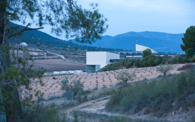 Vista de parte del viñedo y del singular edificio de Sierra Salinas