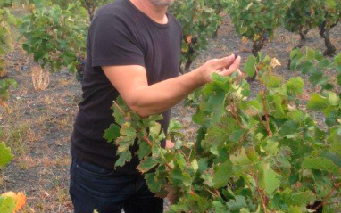 Jeff probando uvas