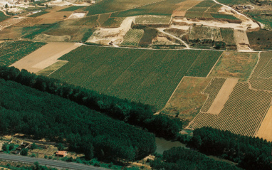 Vista aérea de los viñedos