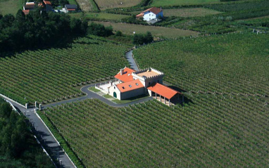 Imagen aérea de los viñedos y la bodega