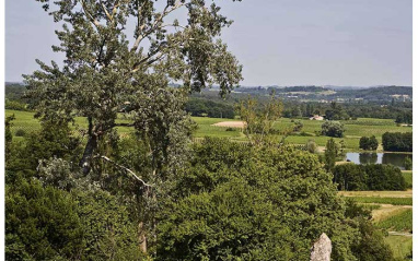 Paisaje con menhir