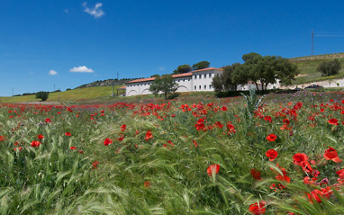 Panorámica de Quinta Sardonia