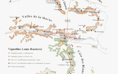 Mapa de la ubicación de los viñedos