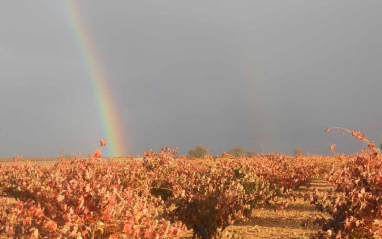 El arcoiris acaricia el viñedo