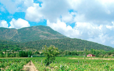 Bodega Finca Fuentegalana