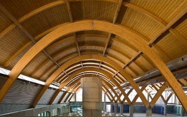 Característico techo de madera de Protos
