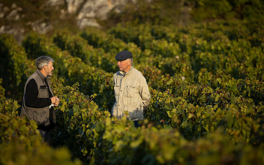 Domaine de la Romanée-Conti
