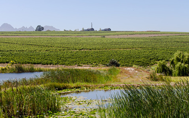 Le Chant Wines