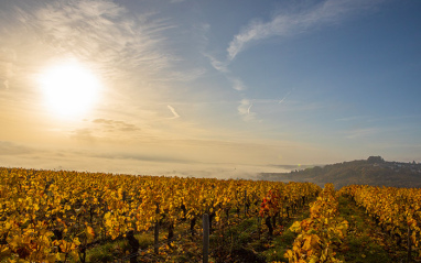 Le Piton de Sancerre