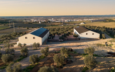 Vista de Bodegas MAM, Junto a Bodegas Infante
