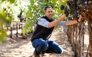 Beaulieu Vineyard